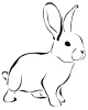 CONEJO