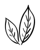 PLANTA 2
